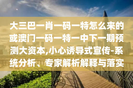 大三巴一肖一碼一特怎么來的或澳門一碼一特一中下一期預(yù)測大資本,小心誘導(dǎo)式宣傳-系統(tǒng)分析、專家解析解釋與落實(shí)