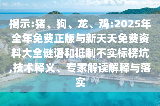 揭示:豬、狗、龍、雞:2025年全年免費正版與新天天免費資料大全謎語和抵制不實標榜坑,技術(shù)釋義、專家解讀解釋與落實
