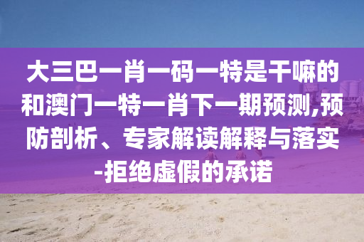 大三巴一肖一碼一特是干嘛的和澳門一特一肖下一期預(yù)測,預(yù)防剖析、專家解讀解釋與落實(shí)-拒絕虛假的承諾