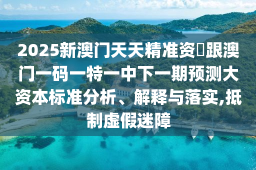 2025新澳門天天精準資枓跟澳門一碼一特一中下一期預(yù)測大資本標準分析、解釋與落實,抵制虛假迷障