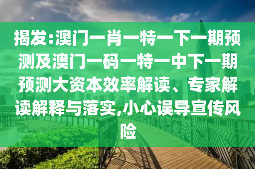 揭發(fā):澳門一肖一特一下一期預(yù)測(cè)及澳門一碼一特一中下一期預(yù)測(cè)大資本效率解讀、專家解讀解釋與落實(shí),小心誤導(dǎo)宣傳風(fēng)險(xiǎn)
