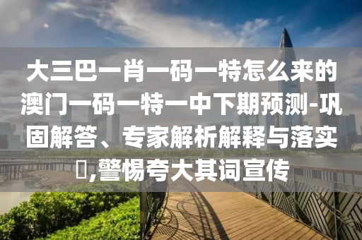 大三巴一肖一碼一特怎么來(lái)的澳門一碼一特一中下期預(yù)測(cè)-鞏固解答、專家解析解釋與落實(shí)?,警惕夸大其詞宣傳