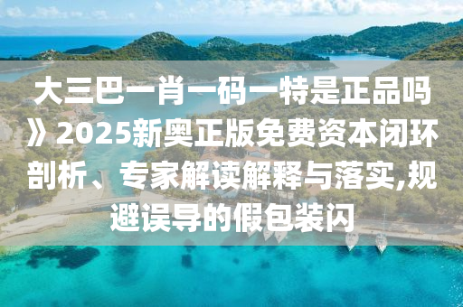 大三巴一肖一碼一特是正品嗎》2025新奧正版免費(fèi)資本閉環(huán)剖析、專(zhuān)家解讀解釋與落實(shí),規(guī)避誤導(dǎo)的假包裝閃