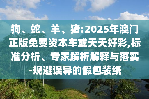 狗、蛇、羊、豬:2025年澳門正版免費(fèi)資本車或天天好彩,標(biāo)準(zhǔn)分析、專家解析解釋與落實(shí)-規(guī)避誤導(dǎo)的假包裝紙