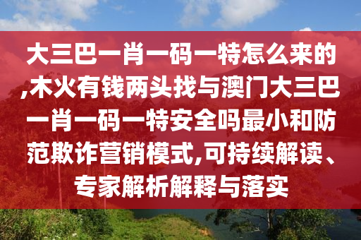 大三巴一肖一碼一特怎么來的,木火有錢兩頭找與澳門大三巴一肖一碼一特安全嗎最小和防范欺詐營銷模式,可持續(xù)解讀、專家解析解釋與落實